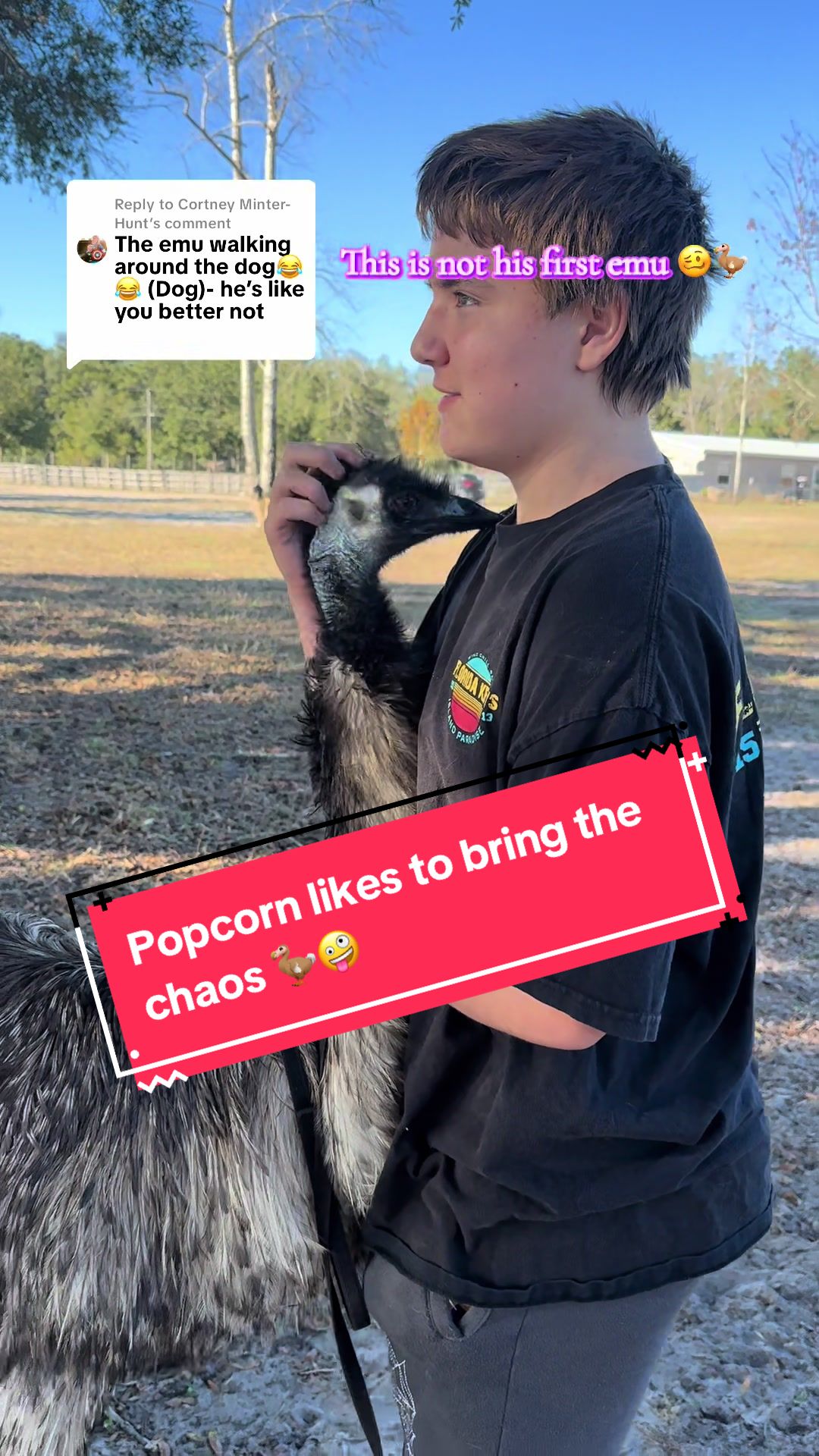 @jesswithallheranimals