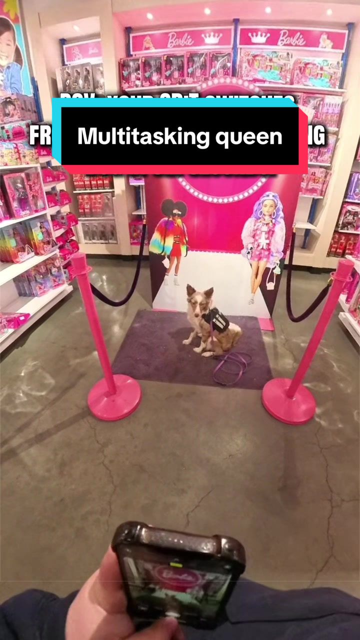 @Dakota & Pups