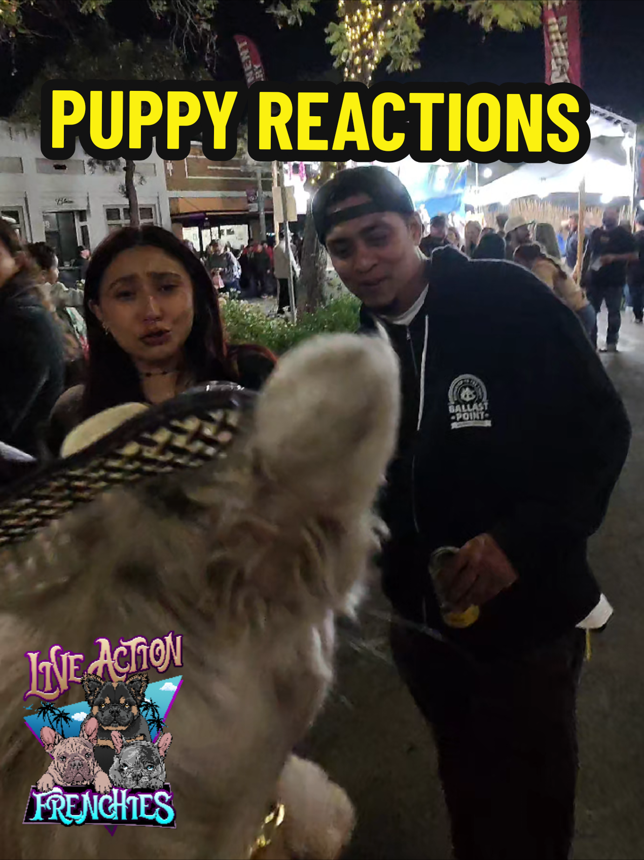 @Live Action Hype Shop