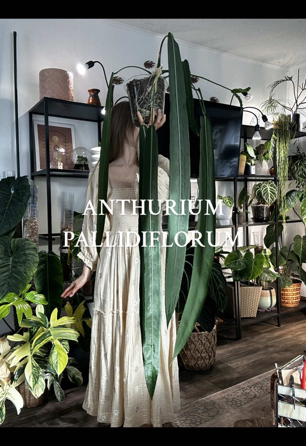 @theplantgirl_diaries