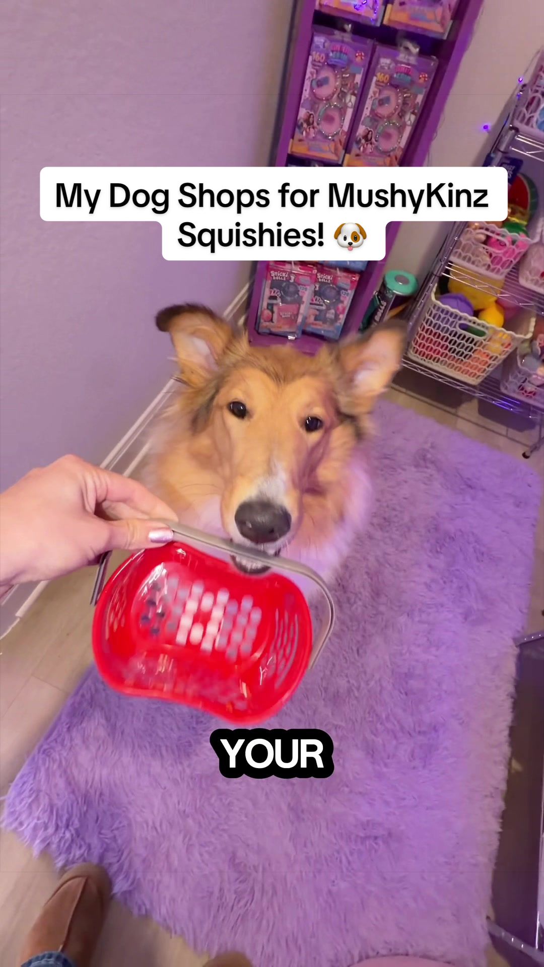 @Mushykinz