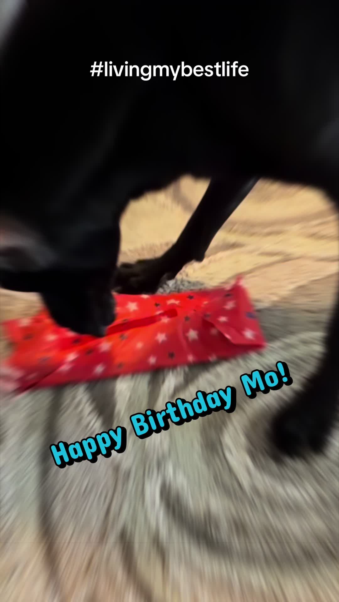 @Mo