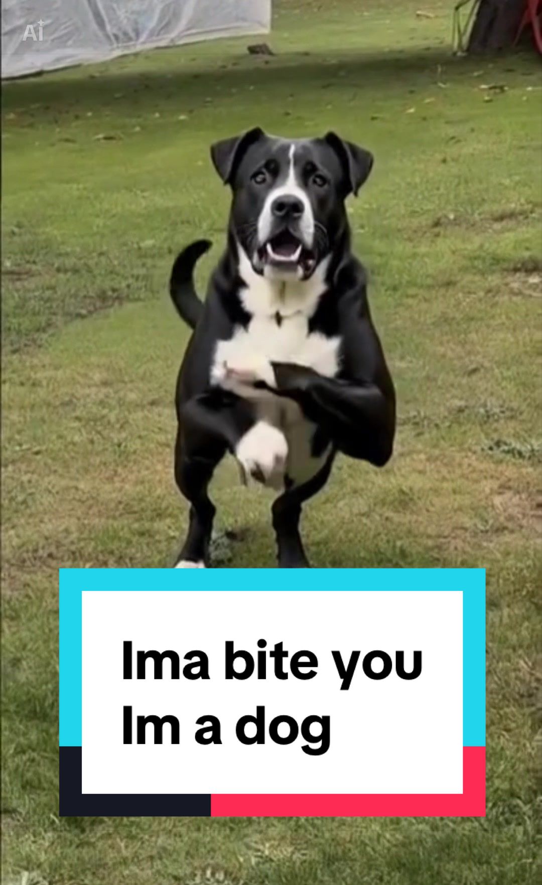 @Mals Media