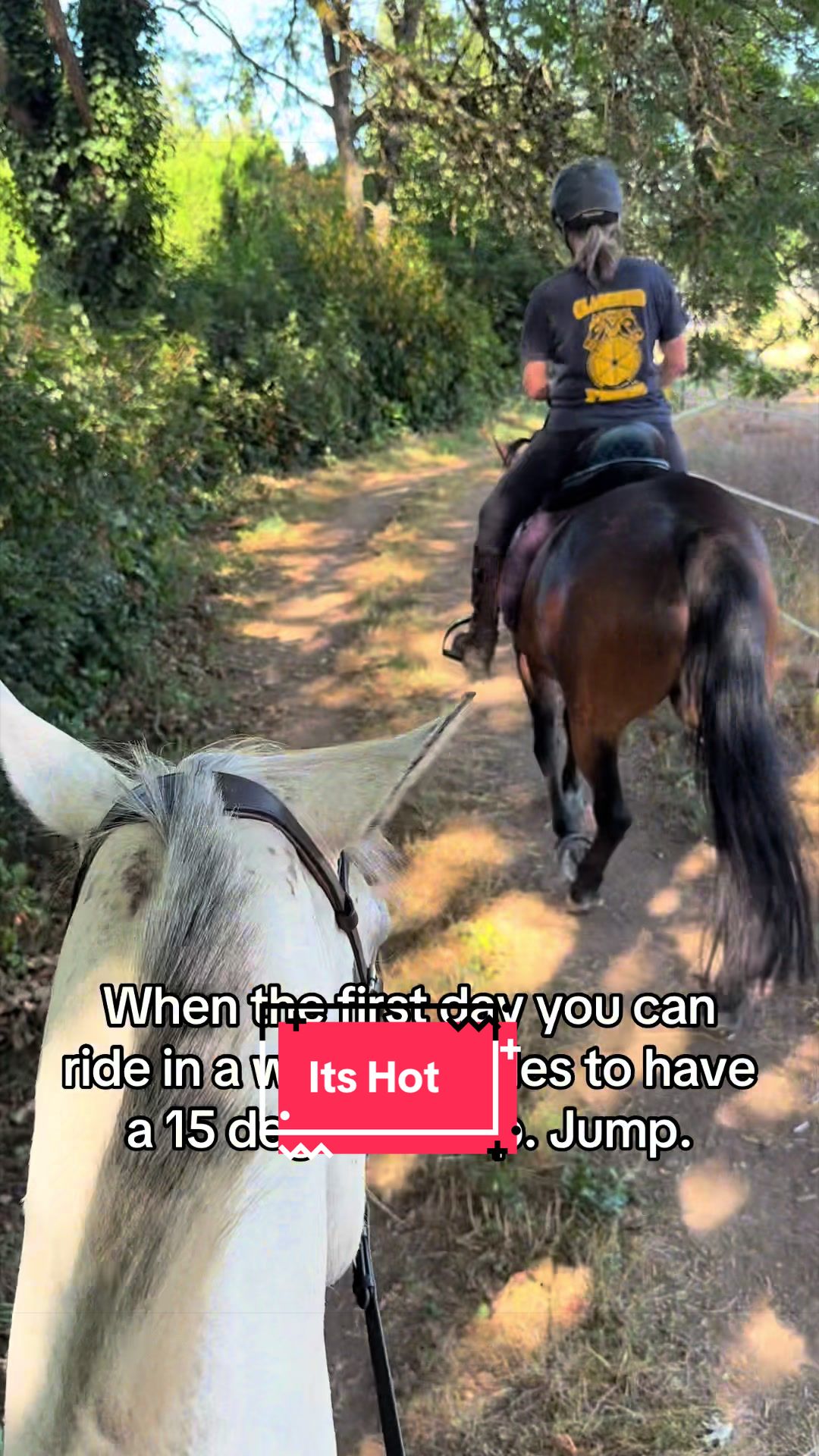 @BlueStarEquestrian