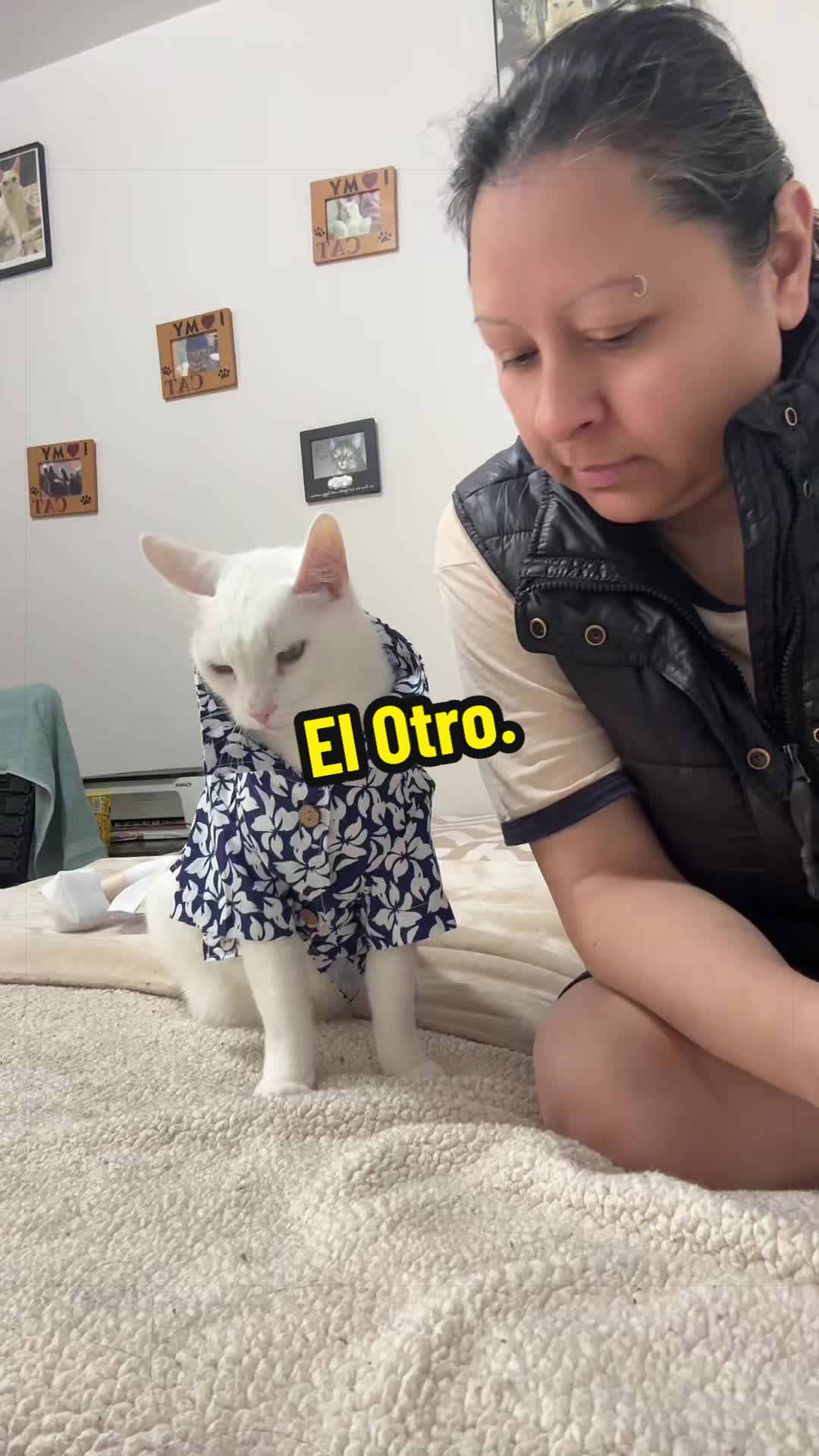 @🦖 MEOWassic CAT😺