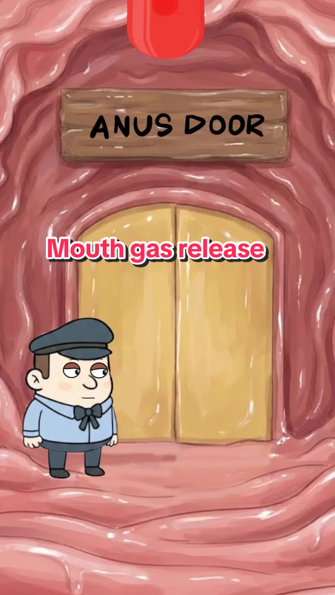 @Funny Animations