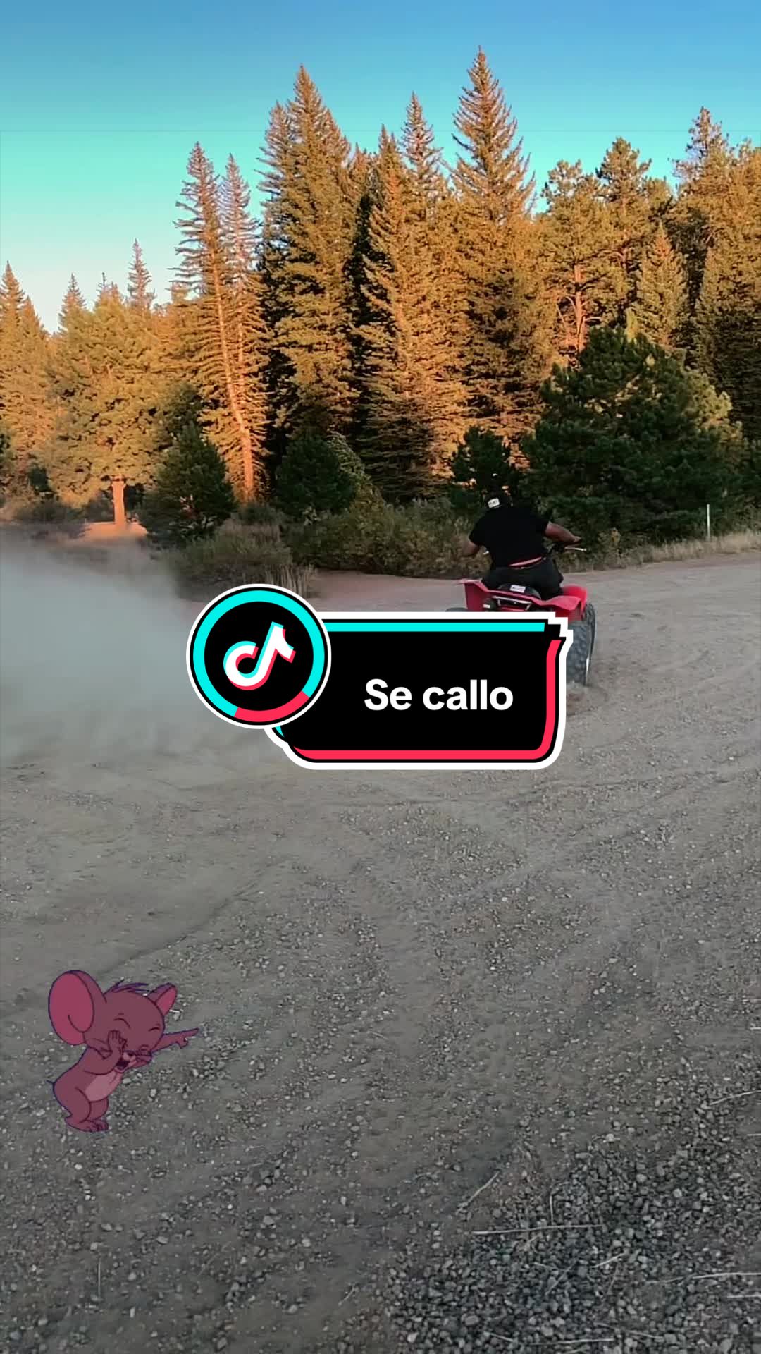 @Alan_Mtz656 🇲🇽 🐻