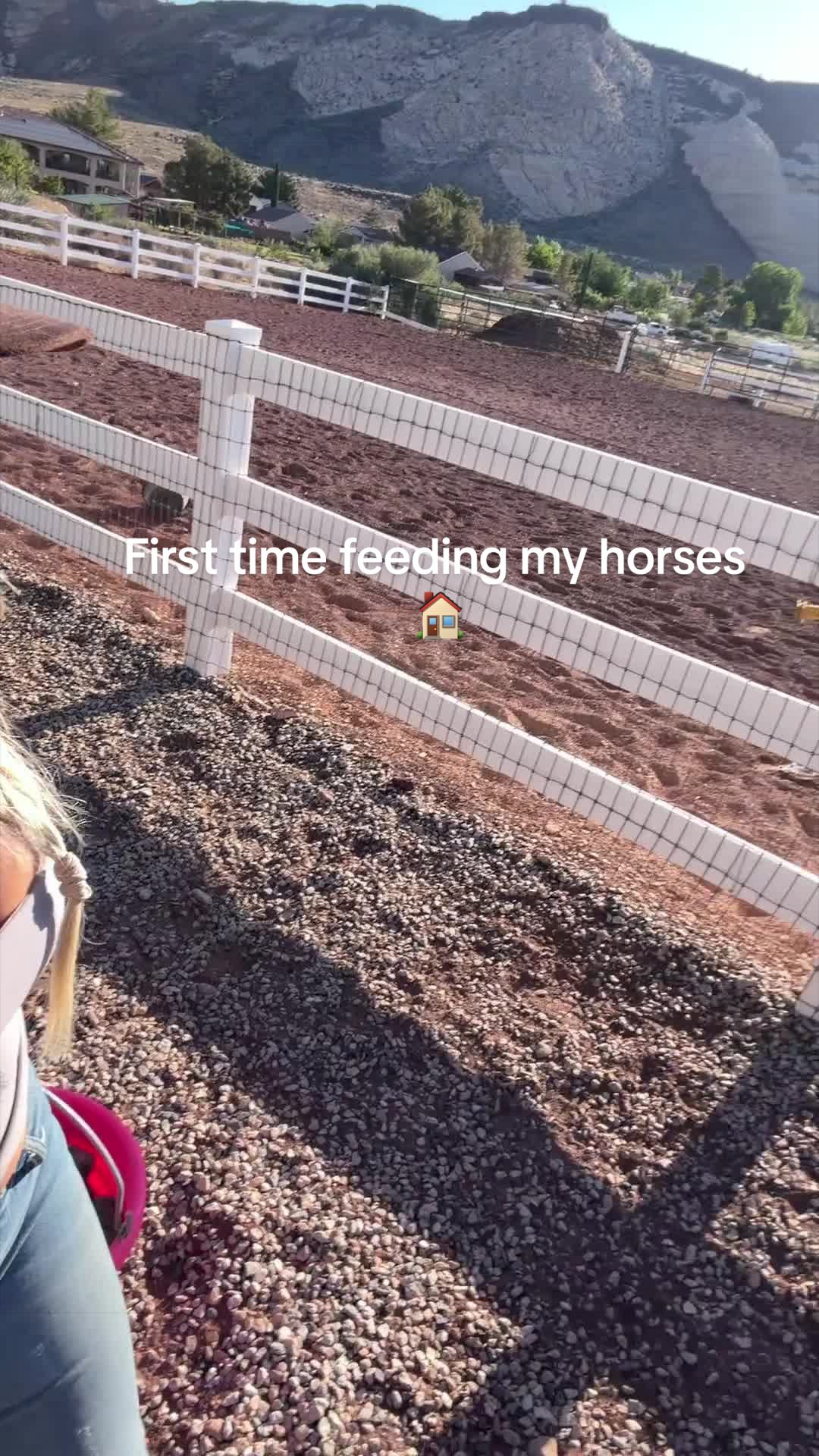@Utah Lifestyle Mom CEO Horses