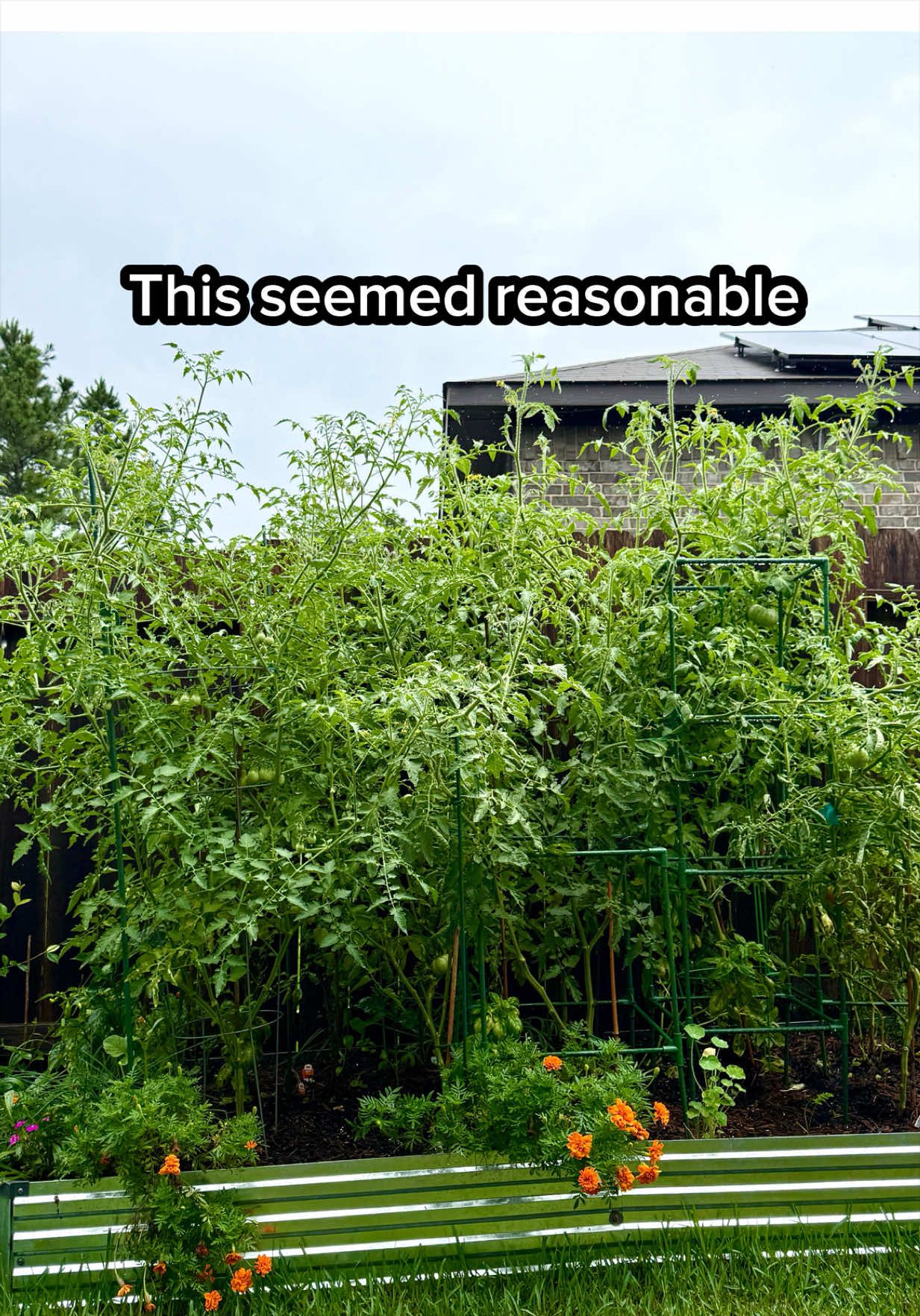 @Sara&rsquo;s Bites 🌱