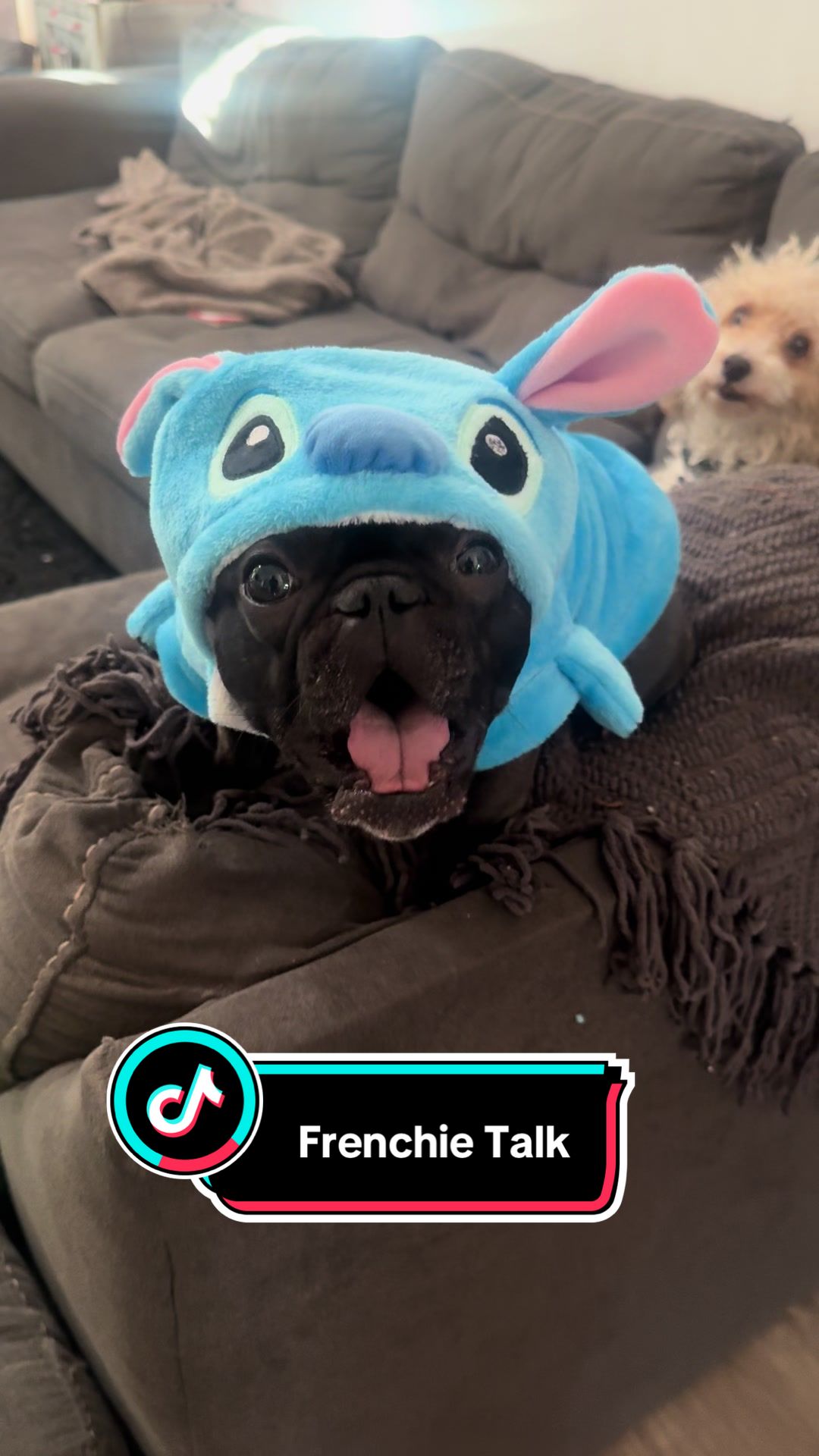 @minniecantalk