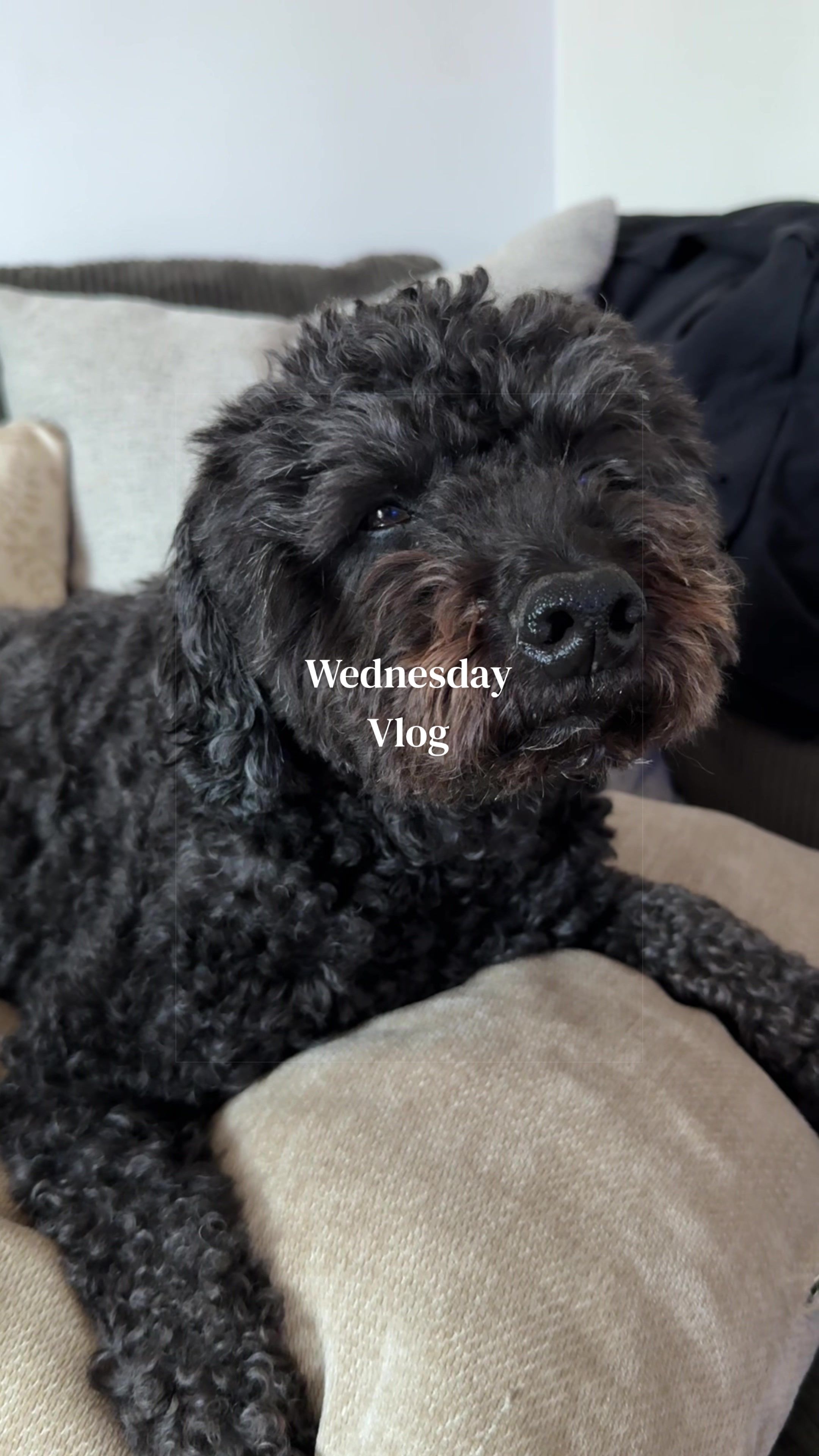 @itsashhmariee