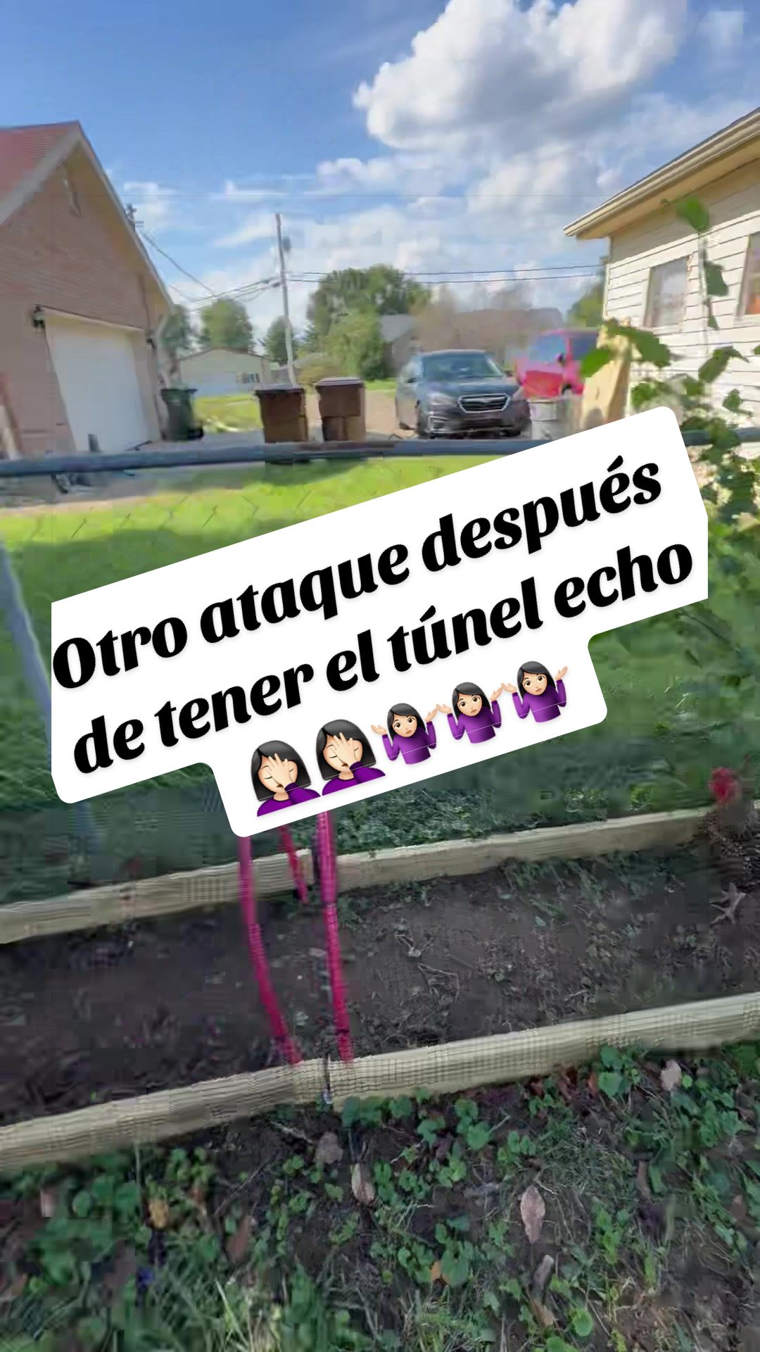 @Elianne Martinez