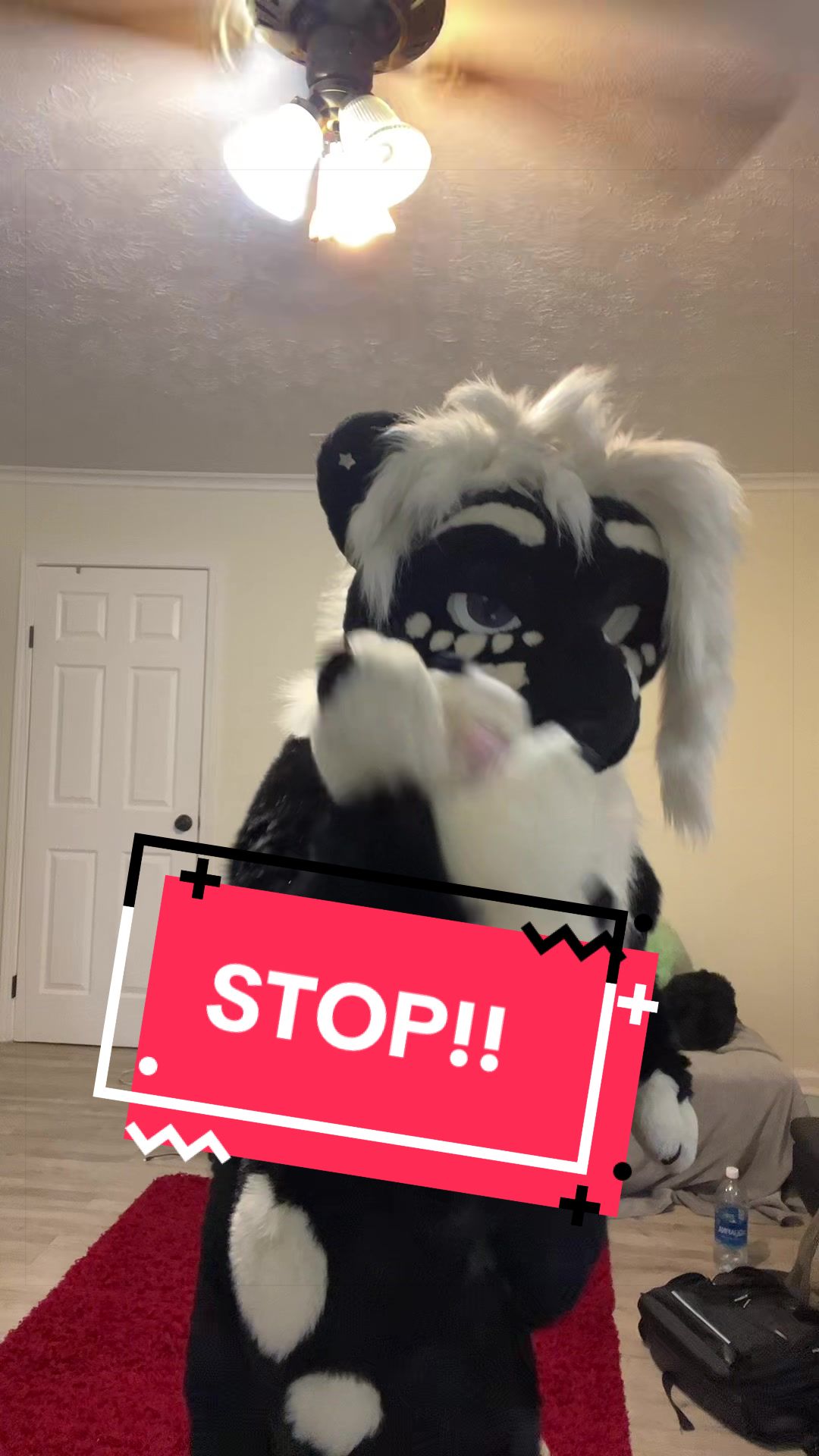 @Ayn BlackFox