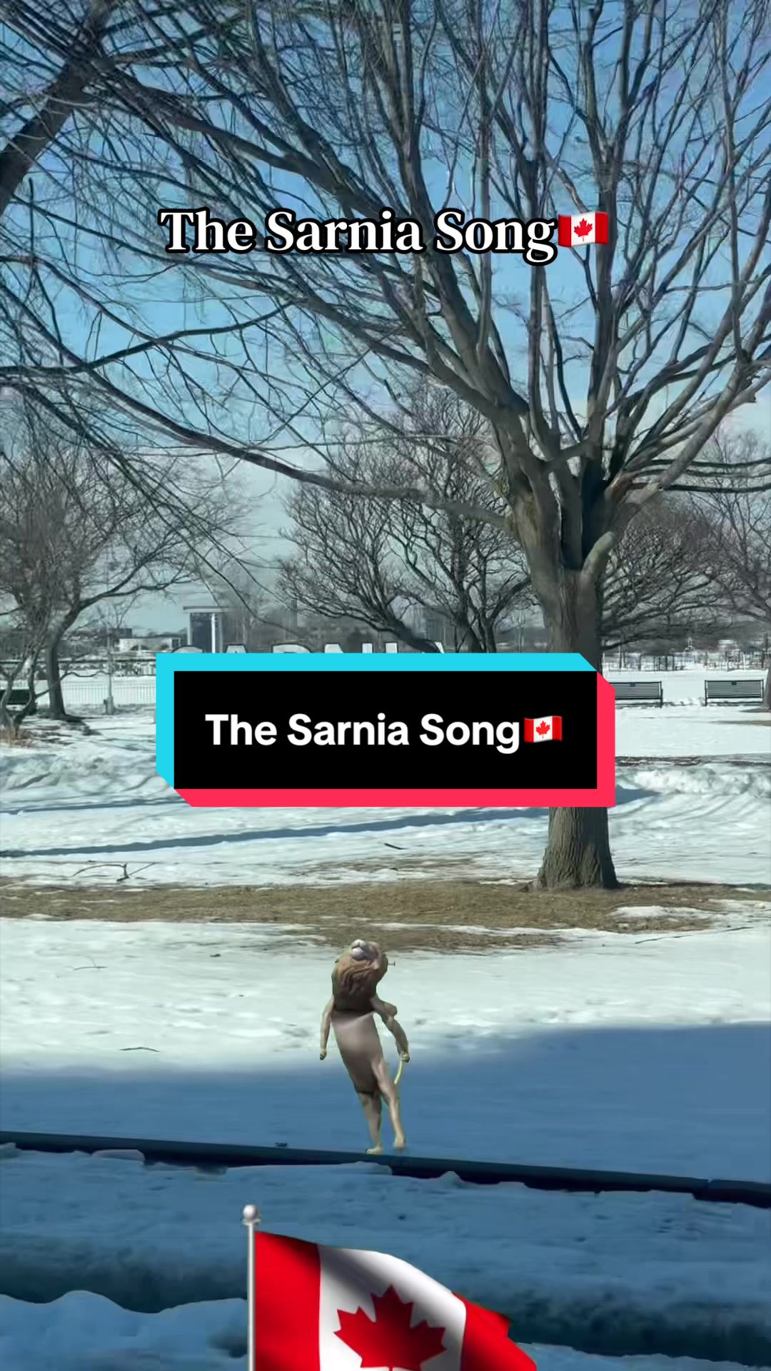 @saxboybilly18