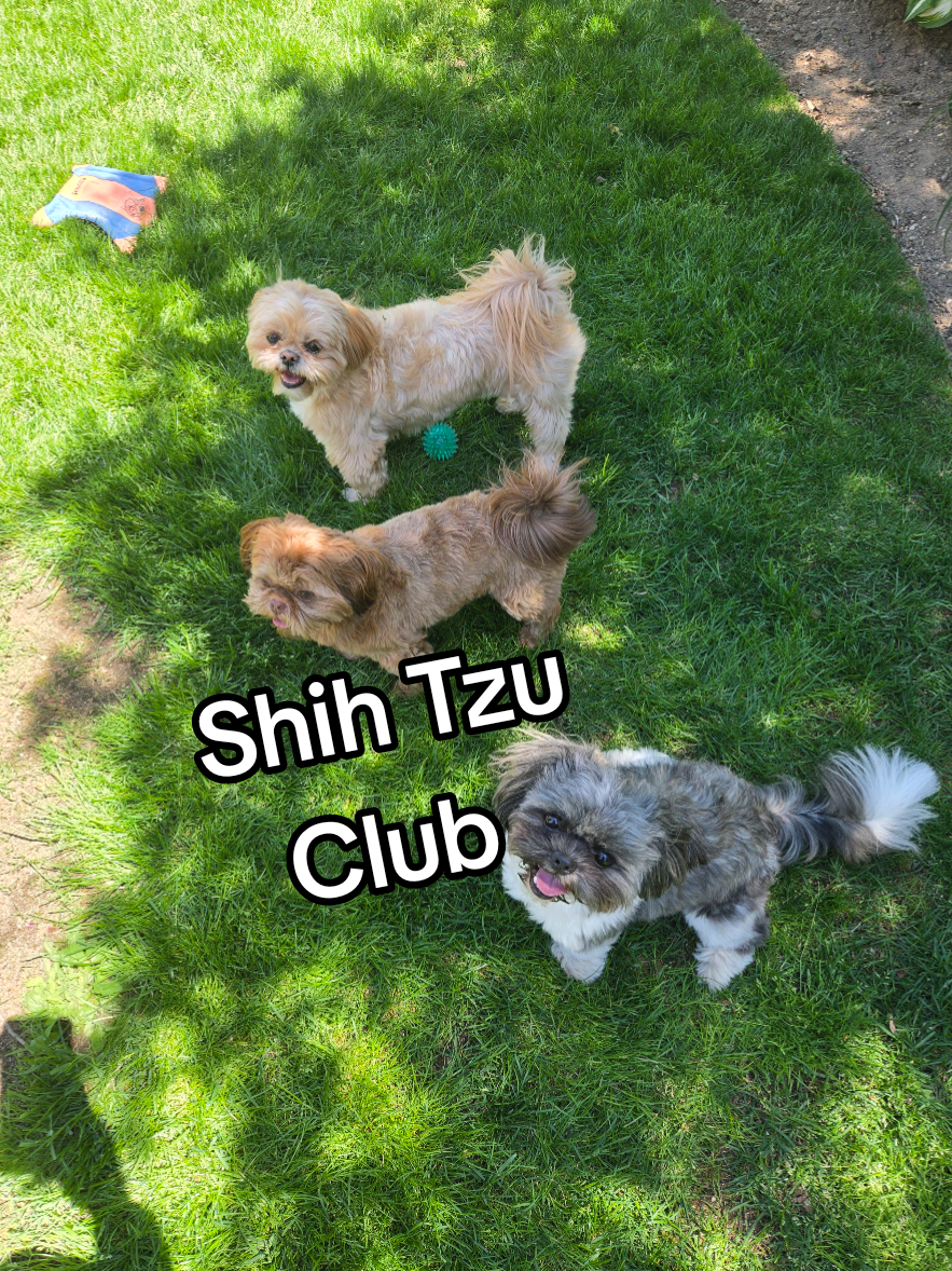 @🐶🎀OzzyBoy&Jenn🎀🐶