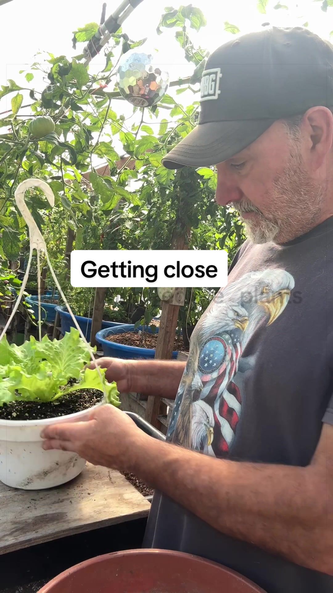 @GROWING_EDIBLE_PLANTS