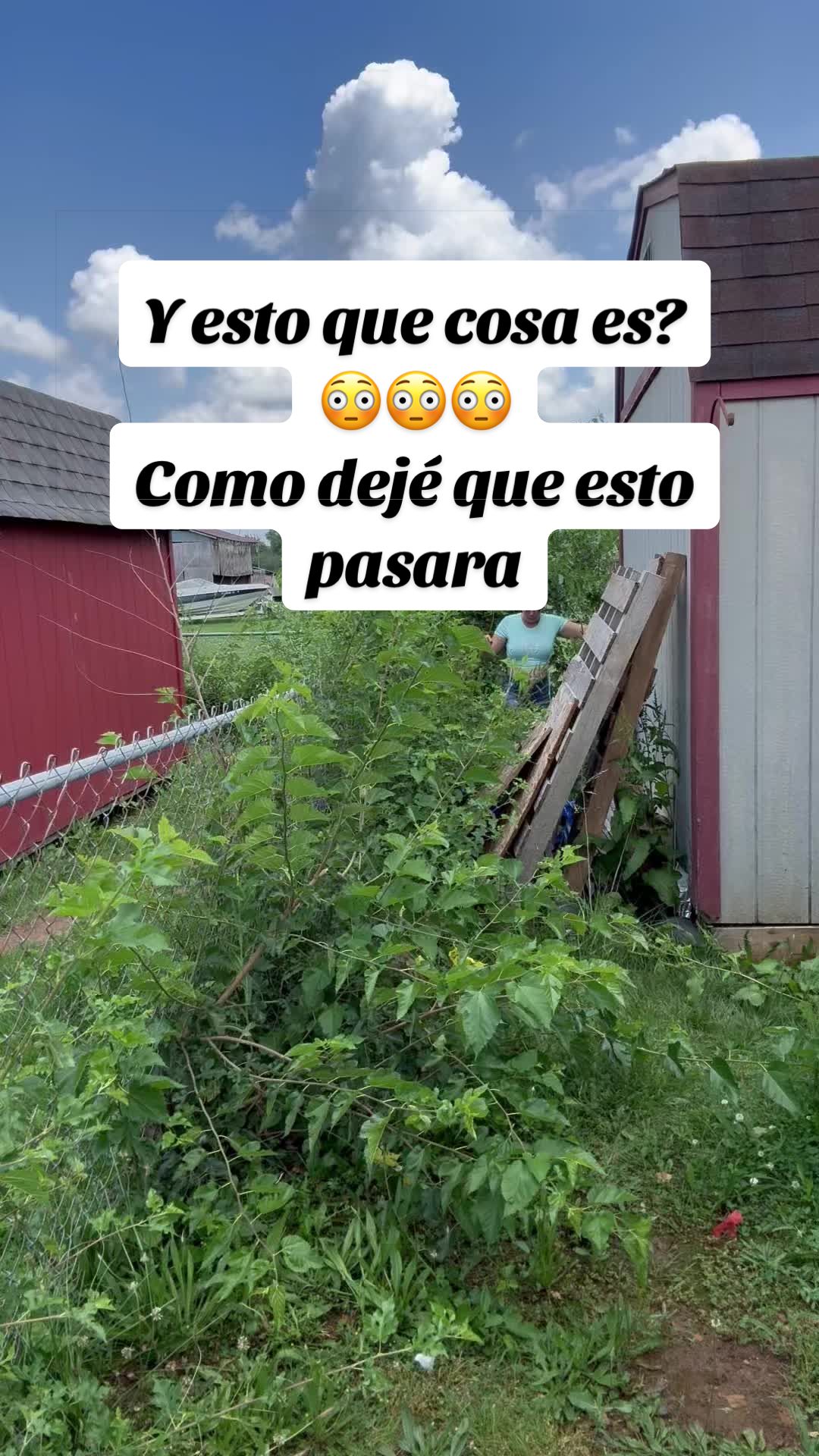 @Elianne Martinez
