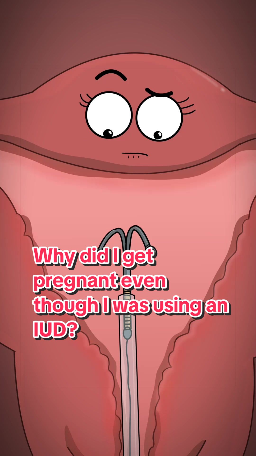 @Funny Animations