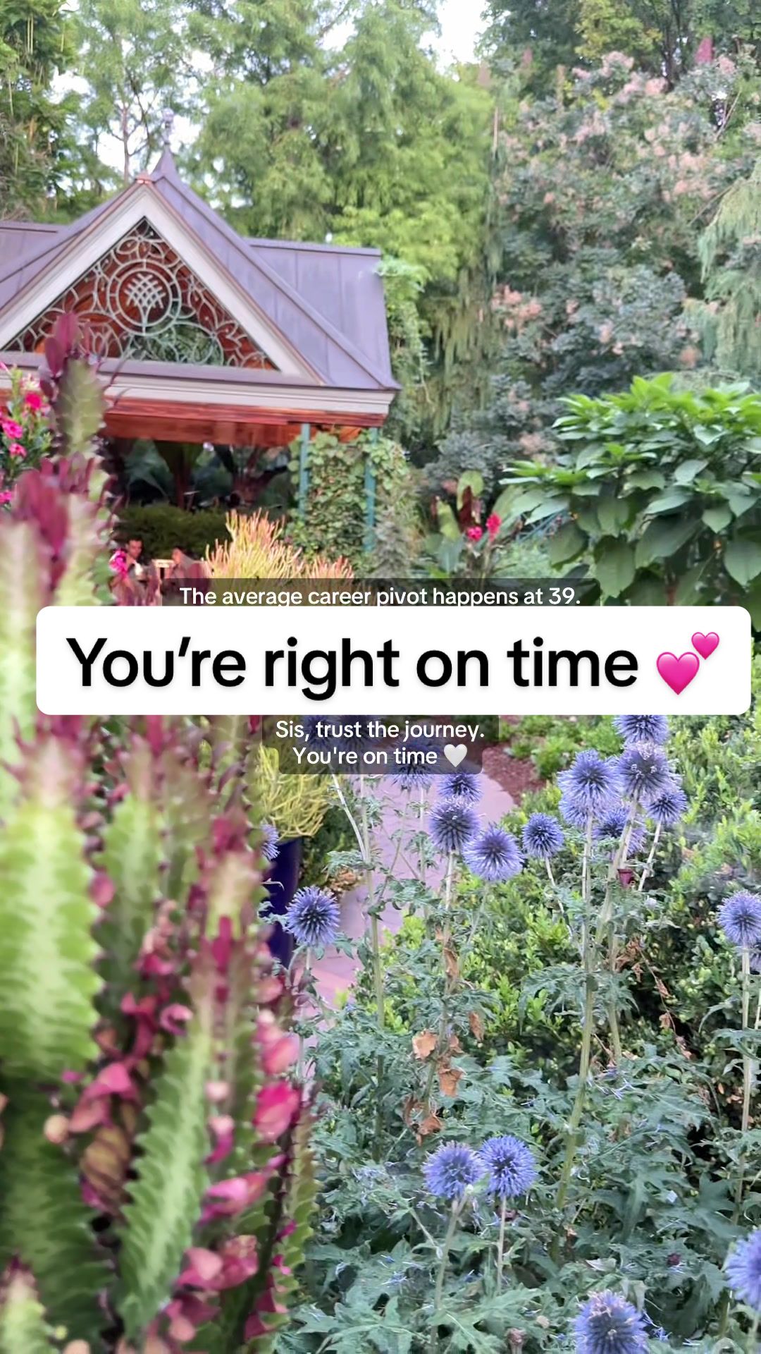 @caitlyn ✨ life coach | creator