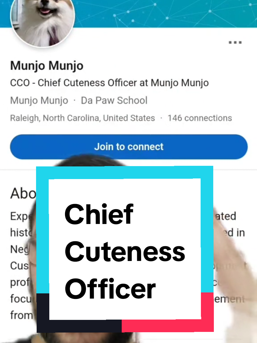 @M U N J O  M U N J O