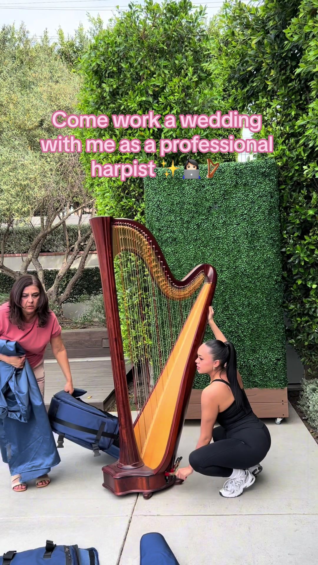 @betaniarodriguezharp