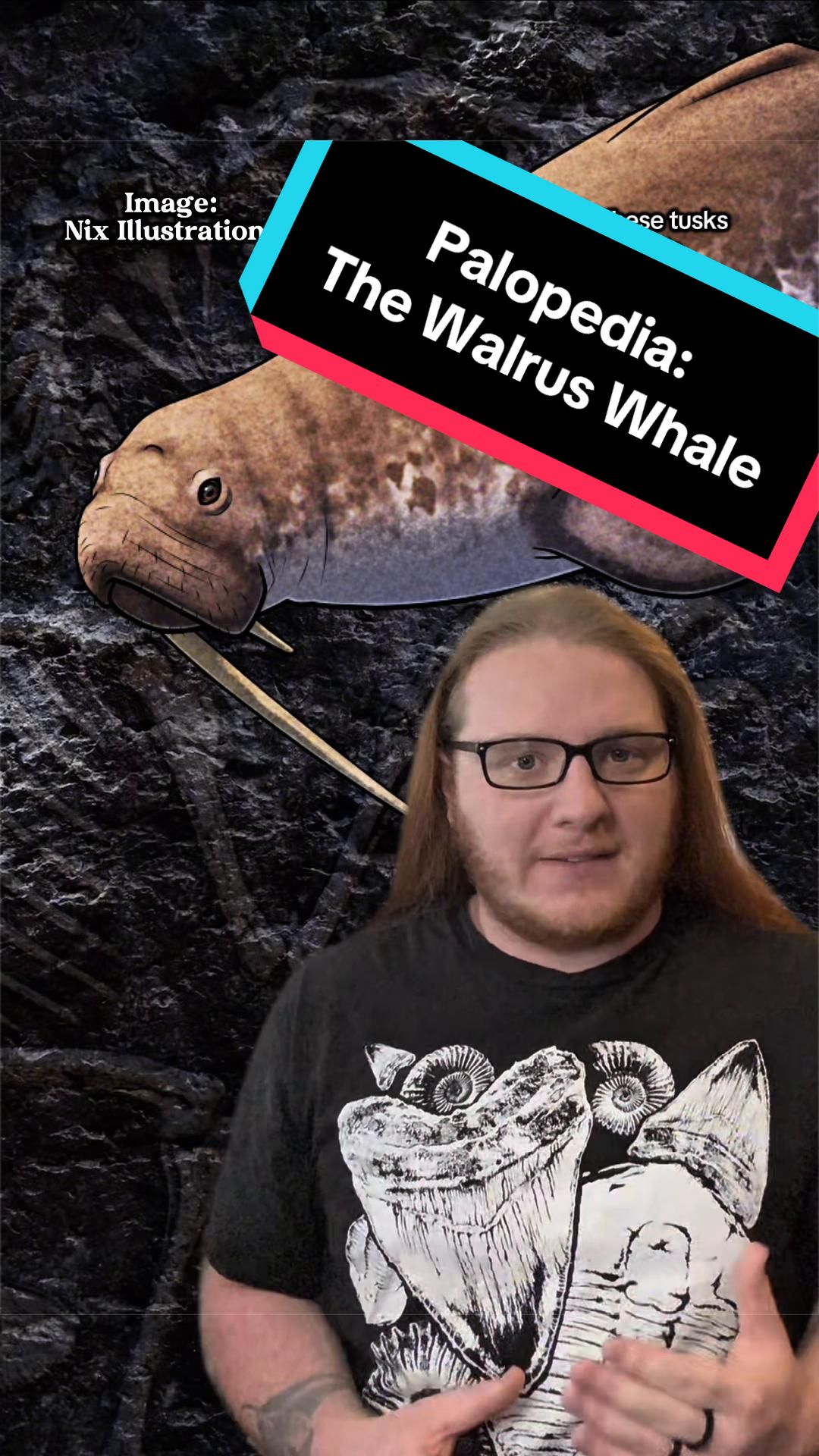 @Paleopedia