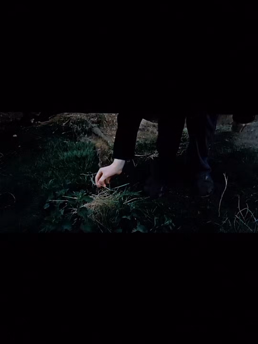 @𝒂𝒍𝒆𝒙 ⚯ ͛