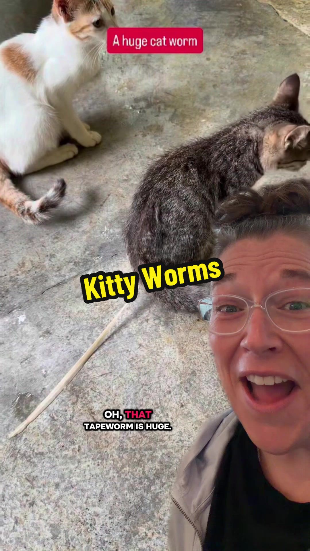 @Worm Queen🪱👸🏼Kim Rogers
