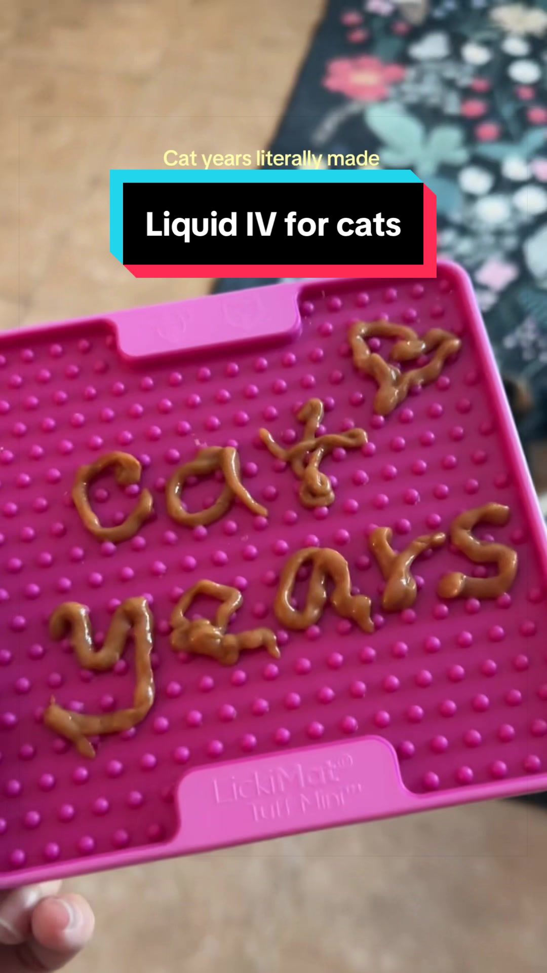 @meloncreamcat