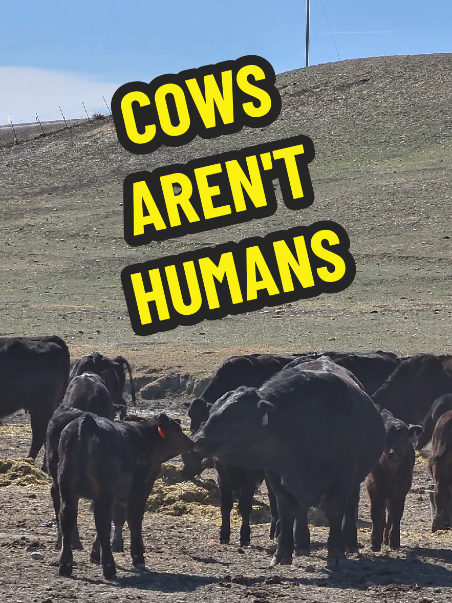 @1HANDNFARMING 🦾🌾🐂🚜