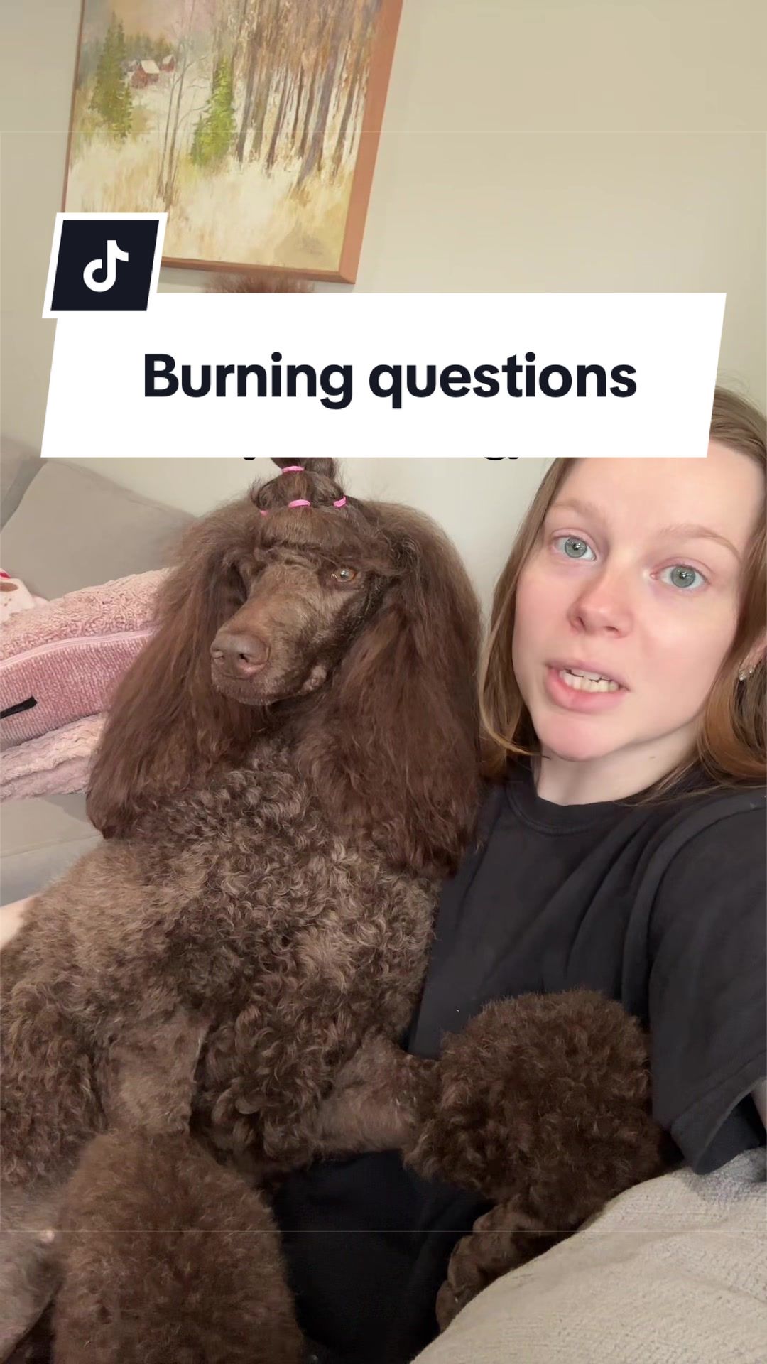 @Maddie, Jovie & Nessie🤍🤎🐩