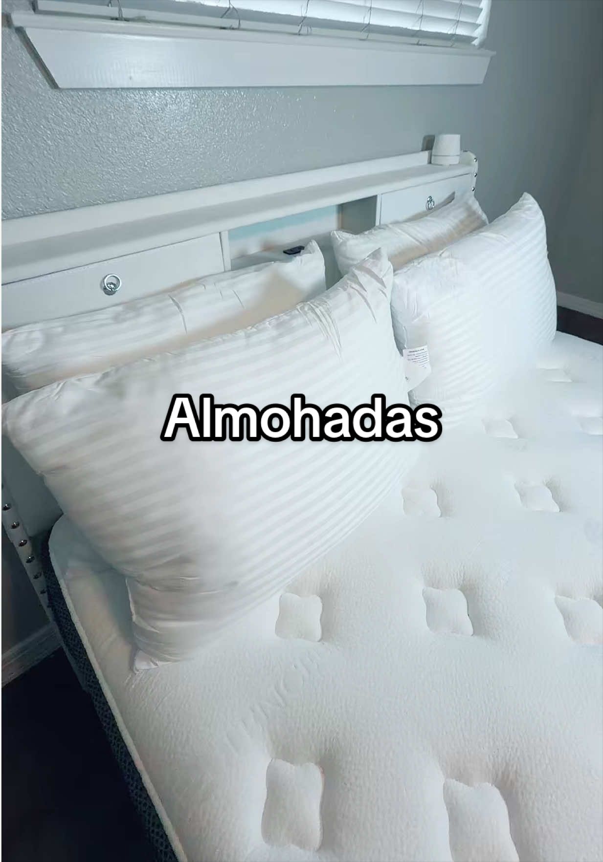 @𝓔𝓼 𝔂𝓮𝓻𝓵𝓲𝓷