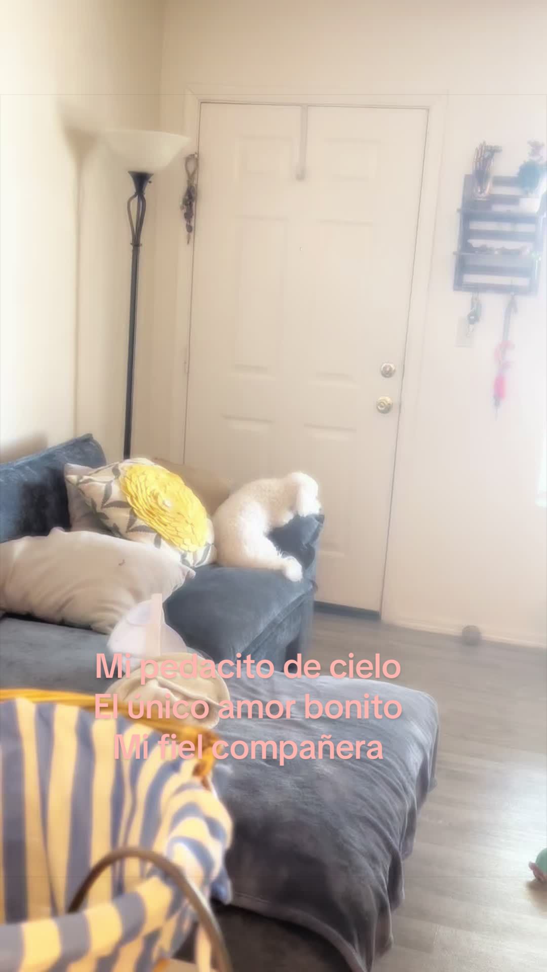 @Clauu