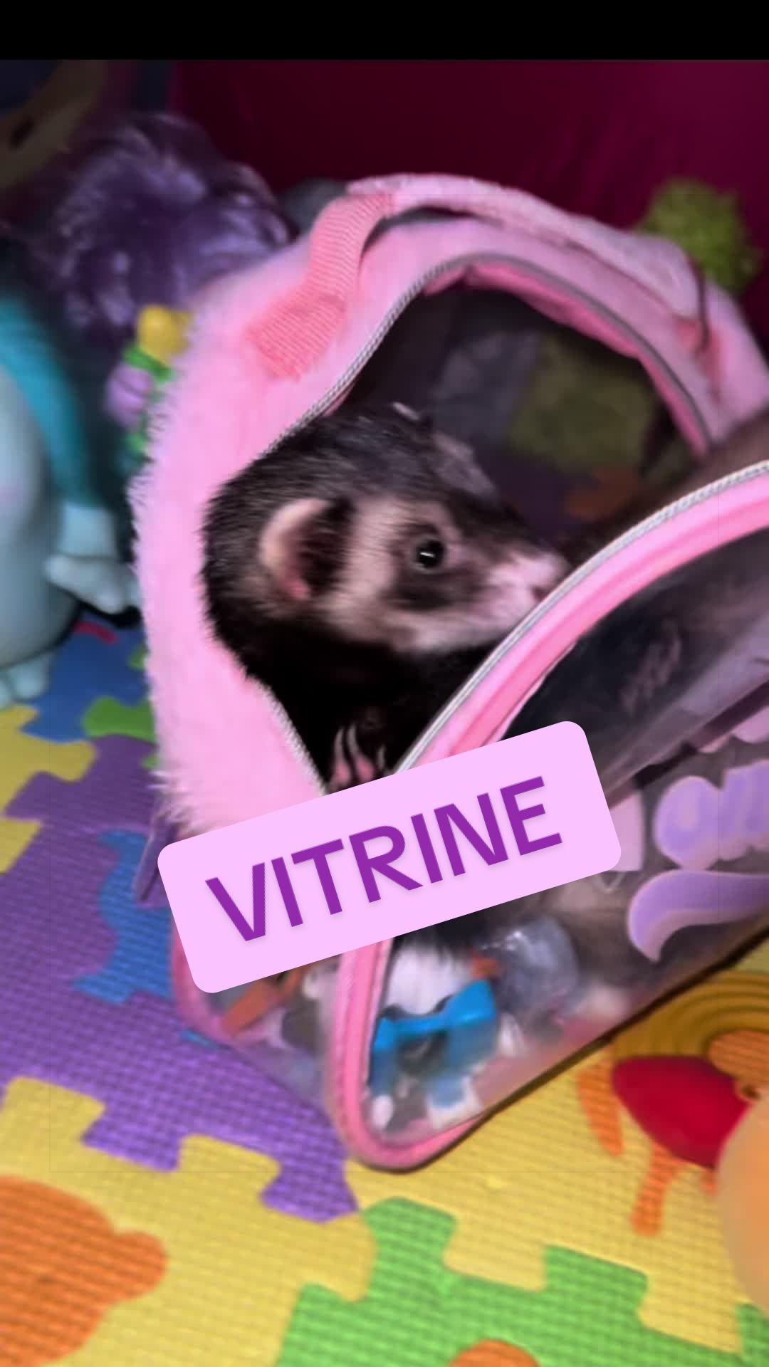 @Veritologic