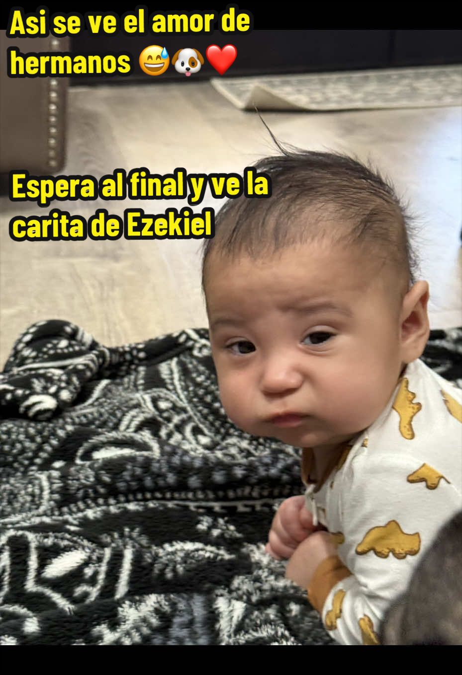 @Lissavega@50