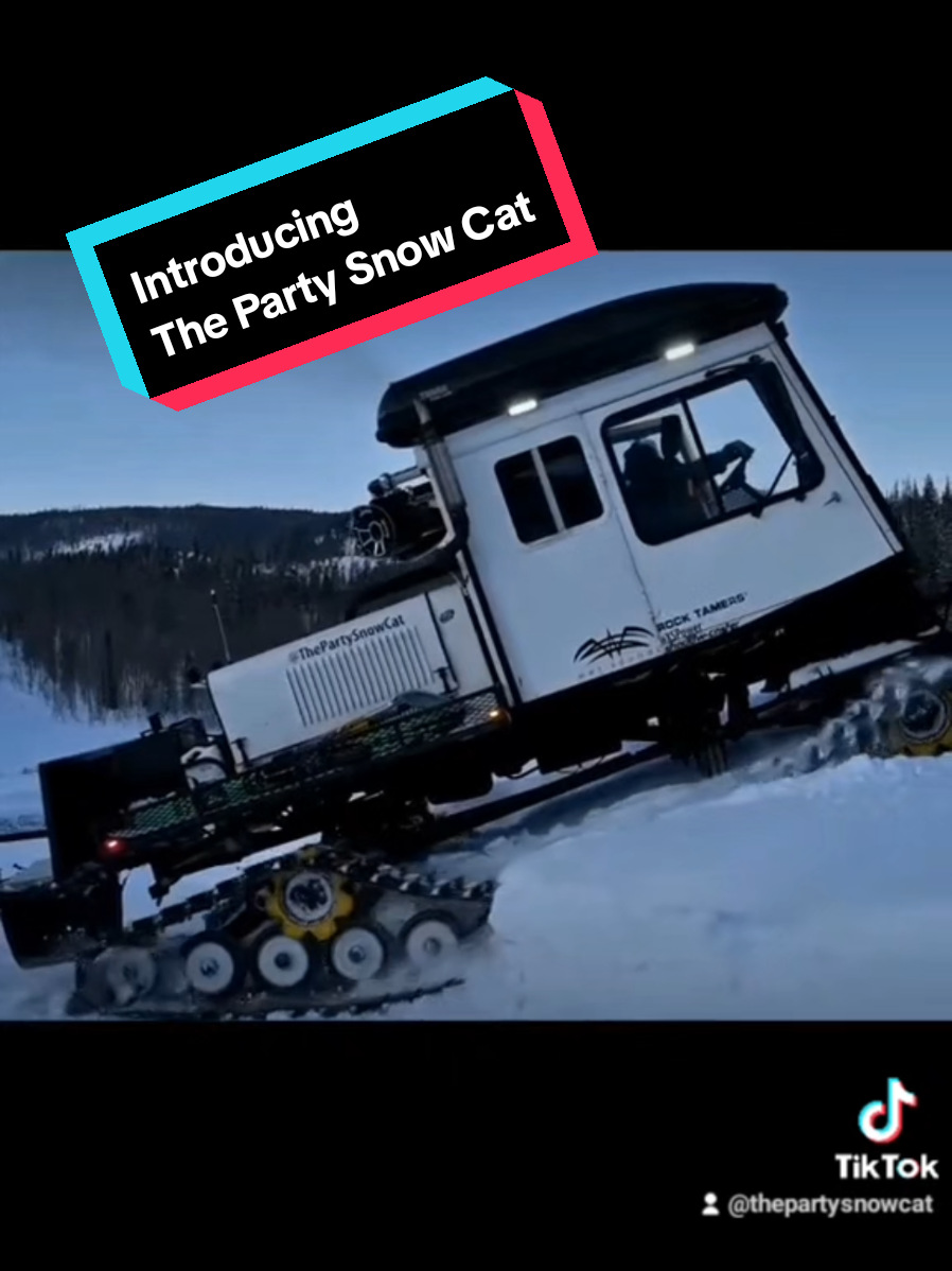 @ThePartyCat