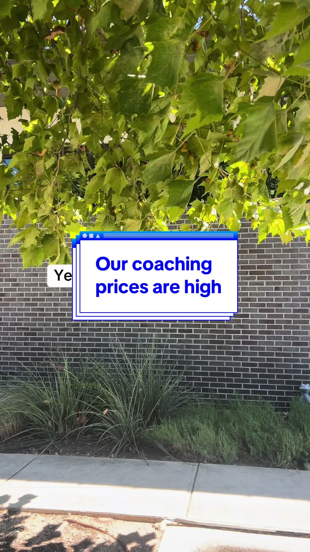 @Lindsay ✨ ED Coach Expert