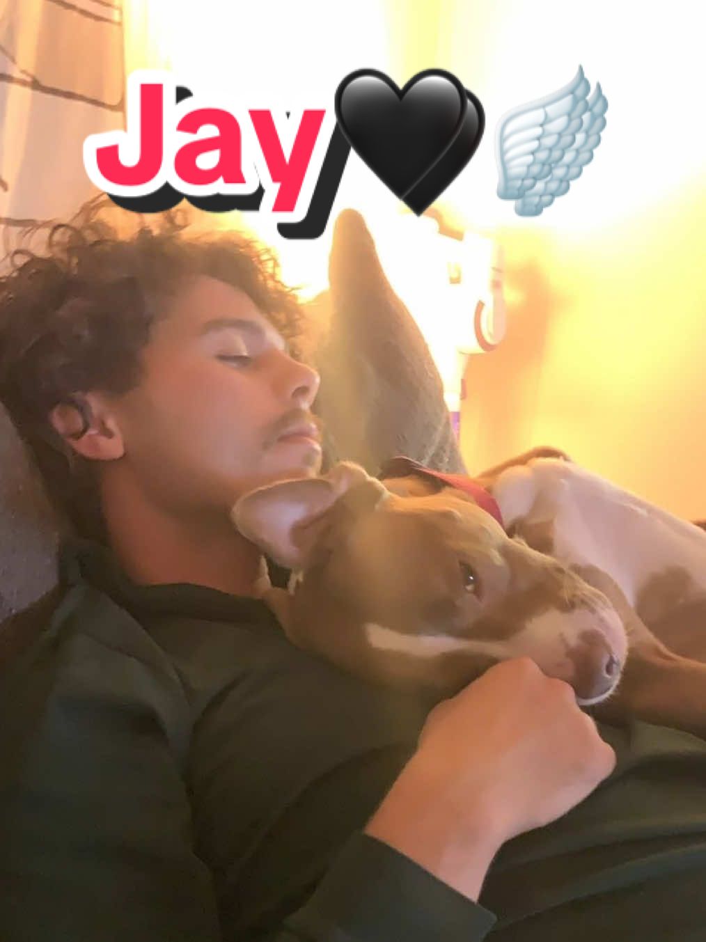@jillyrockbottom