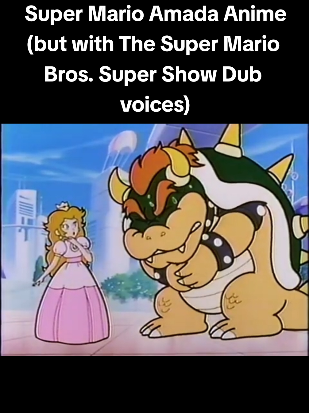@👑Princess Peach Toadstool🩷