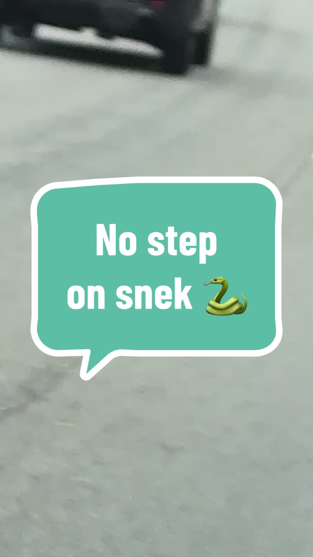 @Meghan 🦩