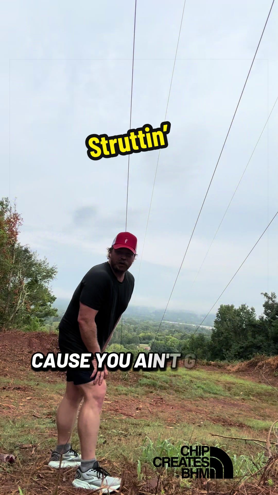 @Chip Creates