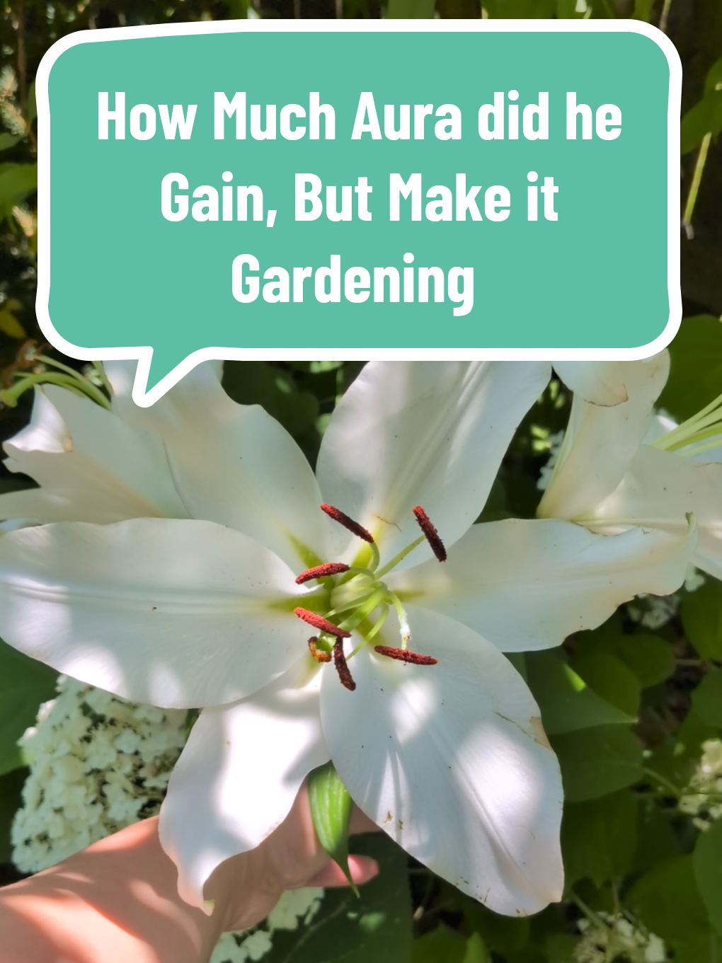 @The Plantiful Gardener