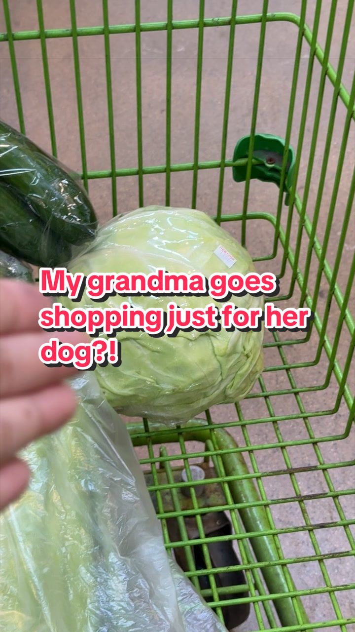 @jen ~ (maggie&rsquo;s version)