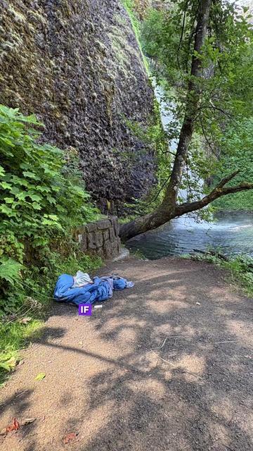 @Multnomah Falls Adventures