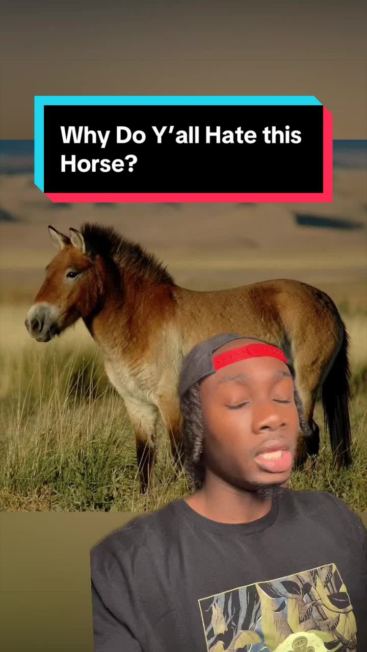 @mndiaye_97