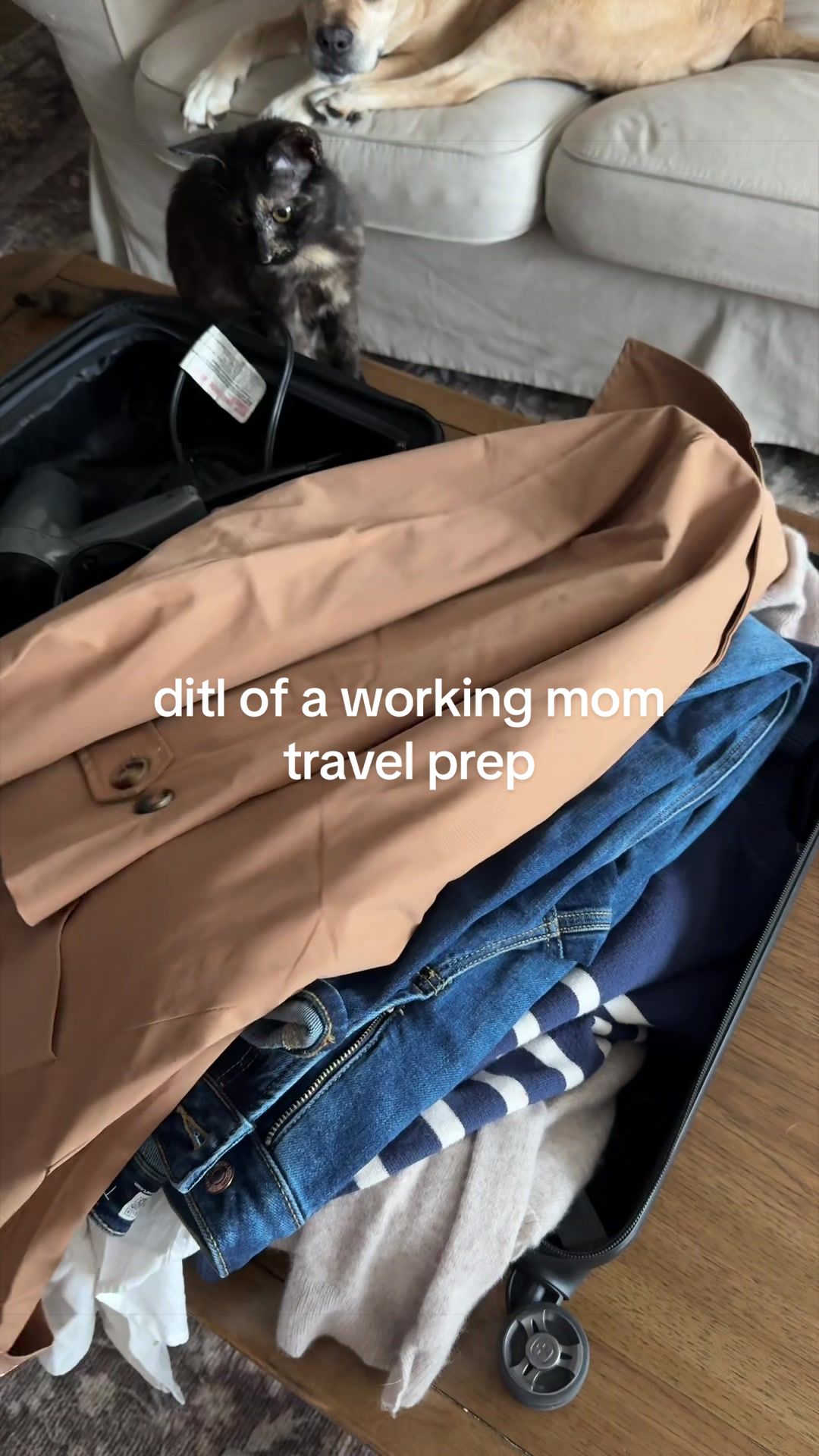 @Jamie | Social Media Strategy