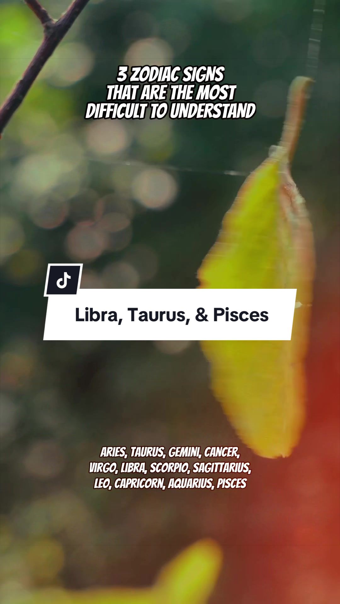 @Zodiac Vibes