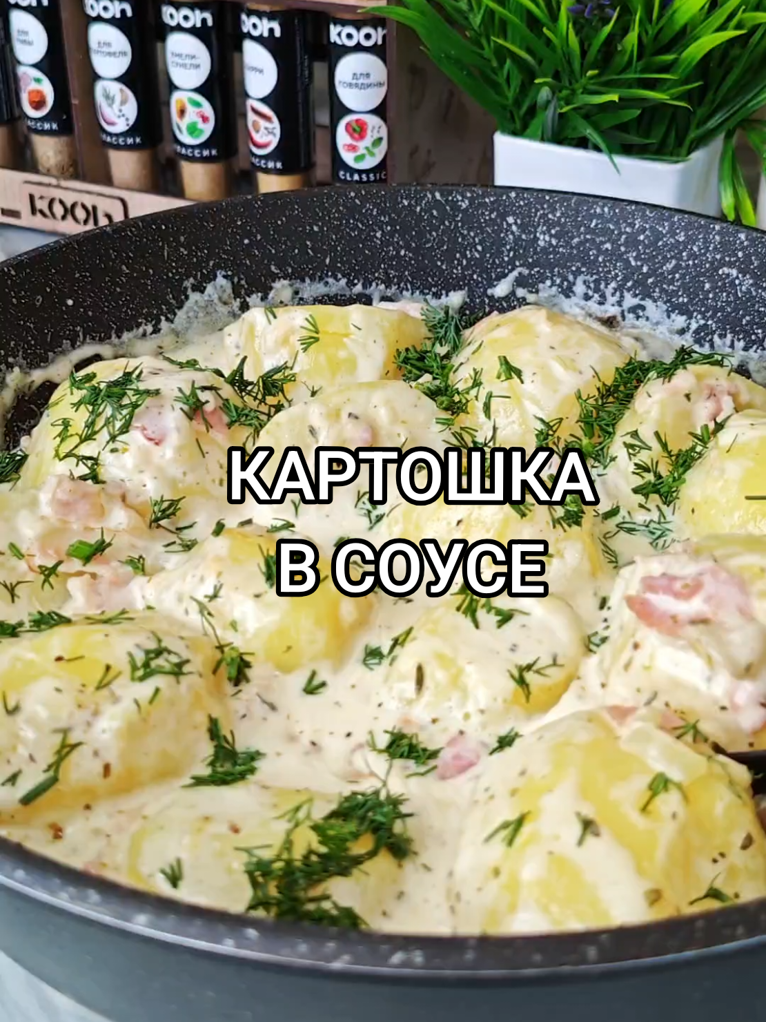 @Galina
