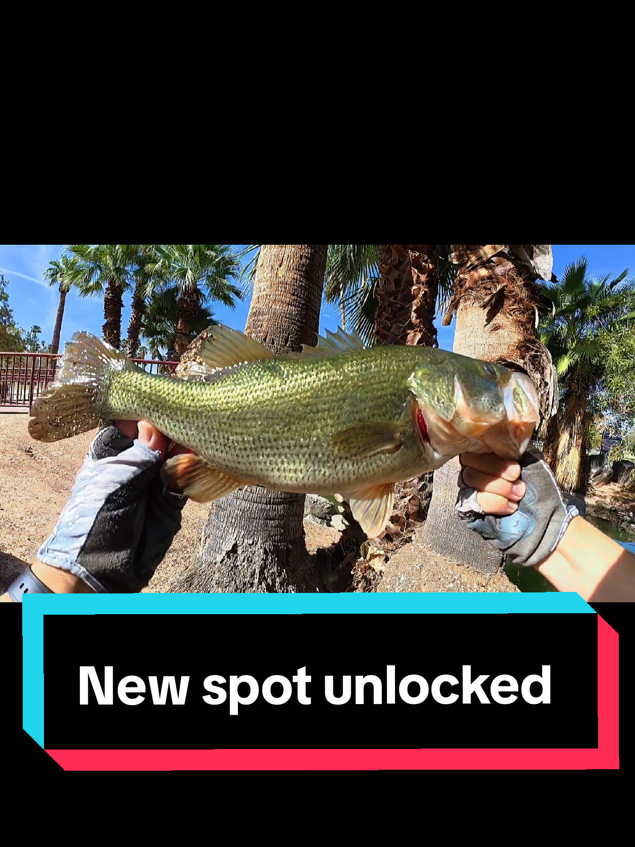 @SalmonInTheDesert