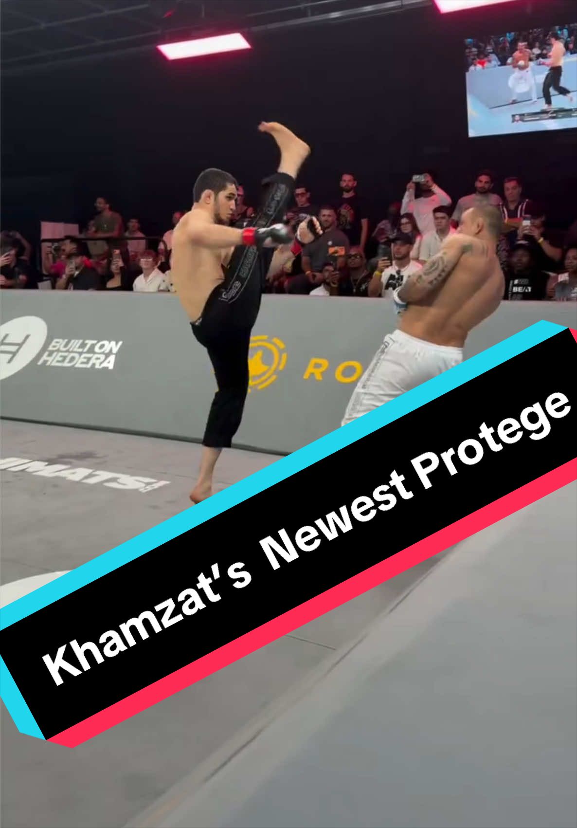 @Die On Your Feet Combat Sports